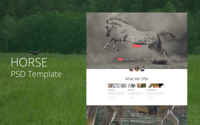 Lovak - Ló PSD sablon