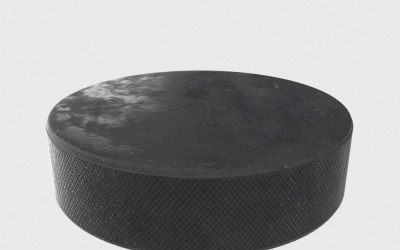 Hockey Puck 3D Model #139832