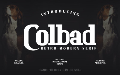 Colbad | Retro Modern Serif-lettertype