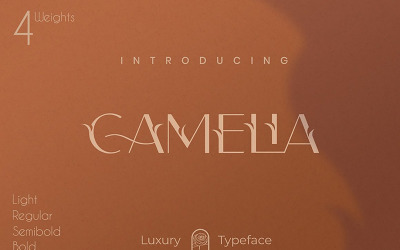 Camelia Sans - Unique  Typeface Font