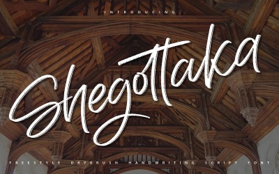 Shegottaka | Drybrush手写草书字体