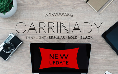 Carrinady Family Font