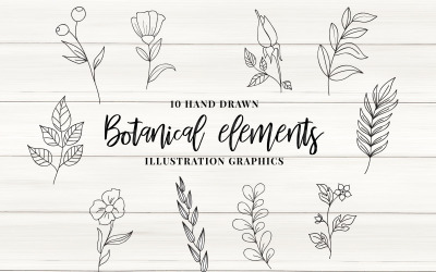 Elementy botaniczne wektor - ilustracja