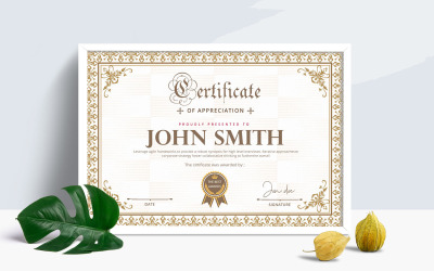 Modèle de certificat de certificat professionnel