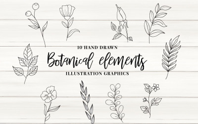 Vector de elementos botánicos - ilustración