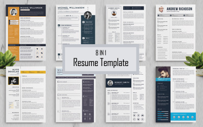 Šablona balíčku / Professional Resume