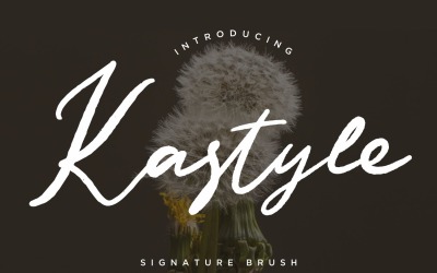 Carattere pennello firma Kastyle