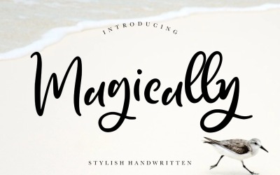 Carattere scritto a mano magicamente elegante
