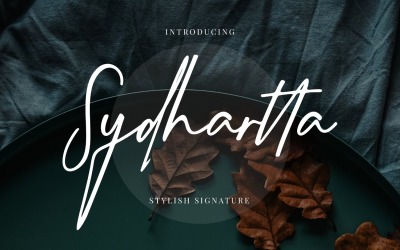 Sydhartta stilfullt signaturteckensnitt