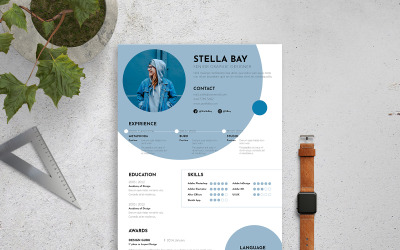Modello di curriculum CV inDesign