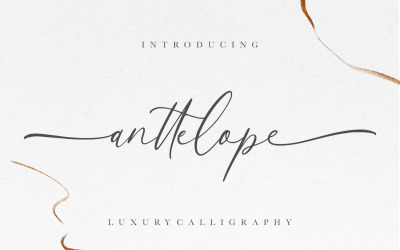 Endestry Modern Calligraphy Font #77234 - TemplateMonster