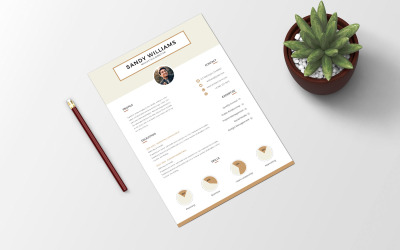 Marketing Professionals CV Resume Template