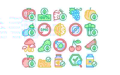 Organic Eco Foods Collection Set Vector Icon