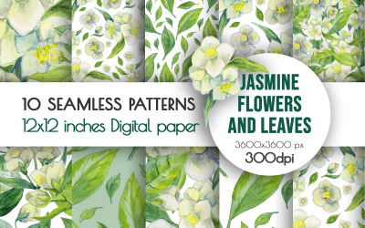 Watercolor Jasmine Flowers and Leaves Pattern