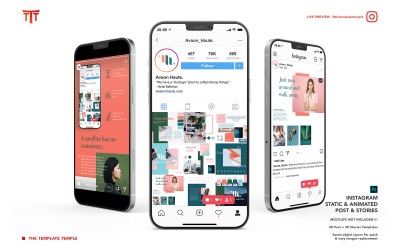 Animated Instagram Post & Stories Social Media Template