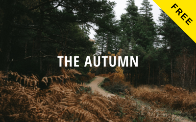 Autumn Lite – šablona webu Drupal s kreativním portfoliem zdarma