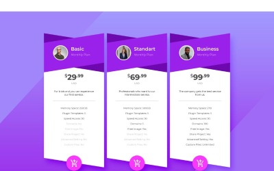 PT 33 Web Development Service UI-elementen