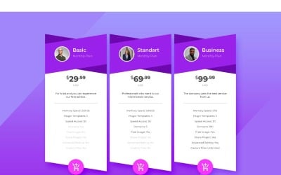 PT 33 Web Development Service UI Elements