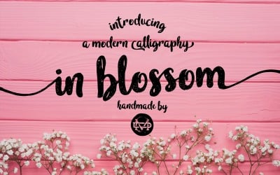 In Blossom - Schönheits-Skript-Schriftart