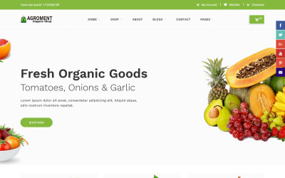 Agroment – Organic Food Website Template
