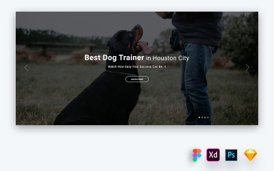 Hero Header voor trainingswebsites voor huisdieren