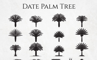 Data Palm Tree sylwetka zestaw elementów