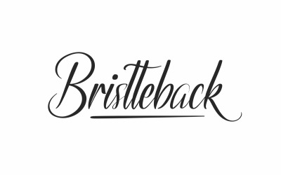 Bristteback typsnitt