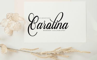 Carolina Fontes, Script, Caligrafia