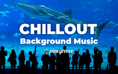 Voyager - Аудіодоріжка &amp;quot;Chill-out&amp;quot;