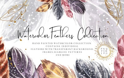 Watercolor Feathers PNG Graphics Illustration