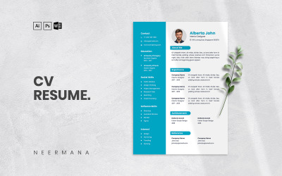 CV Resume Vol 17 modelli di curriculum stampabili
