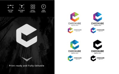 Check Cube Logo template