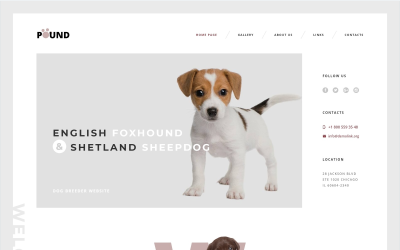 Pound - Ücretsiz Hayvan Bakımı Duyarlı Web Sitesi Şablonu