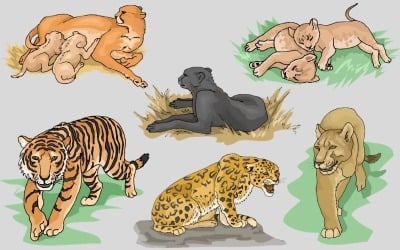 Big Cats Wild Animal PNG Drawing Set – Illustration