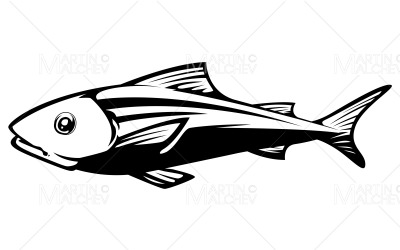 Fisk på vit vektorillustration