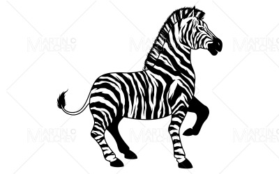 Ilustração vetorial de zebra em branco