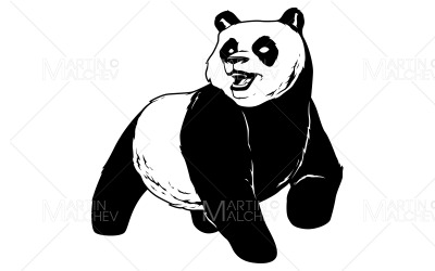 Panda på vit vektorillustration