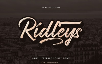 Ridleys El Yapımı Fırça Yazı Tipi