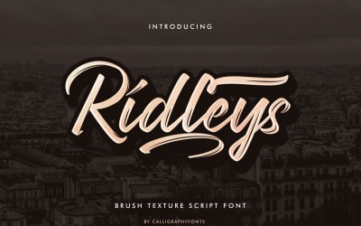 Ridleys handgemaakte penseellettertype