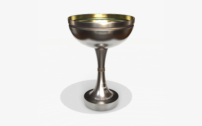 Modelo WRC Trophy Cup PBR High Poly 3D