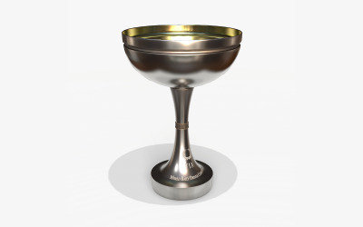 WRC Trophy Cup PBR High Poly 3d modell
