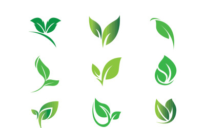 Ensemble de conception de logo de feuille verte