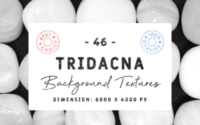 46 textures de fond Tridacna