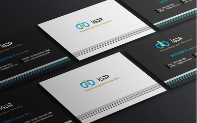 Professional Business Card so-95