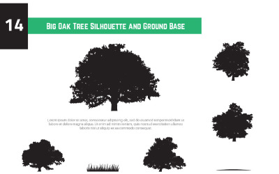 14 Big Oak Tree Silhouette und Ground Base Illustration