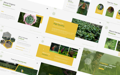 Peaty Land Google Slides Template