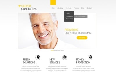 Modelo de consultoria gratuita para WordPress