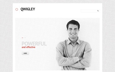 Kostenloses Business Analytics WordPress-Theme