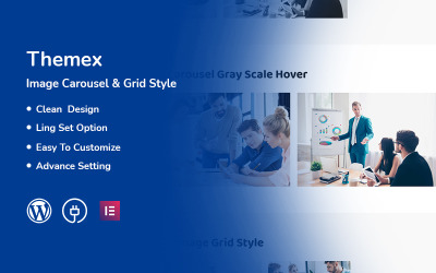 Themex - Plug-in WordPress responsivo de estilo de grade e carrossel de imagens