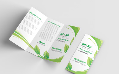 Modèle de conception de brochure Evergreen à trois volets